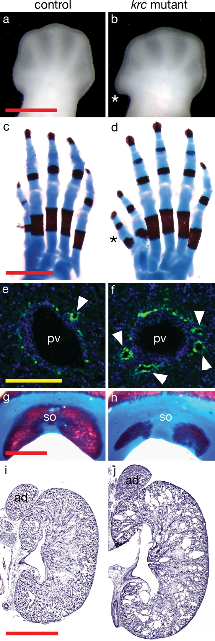 Figure 1.