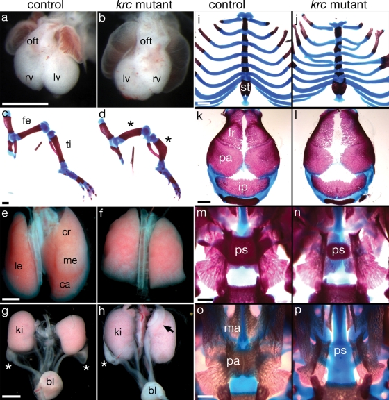 Figure 3.