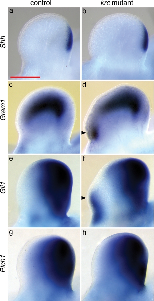 Figure 7.