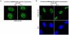 Extended data figure 4