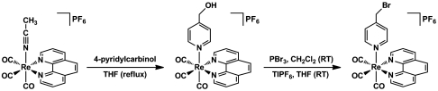 graphic file with name pnas.1115778108figX1.jpg