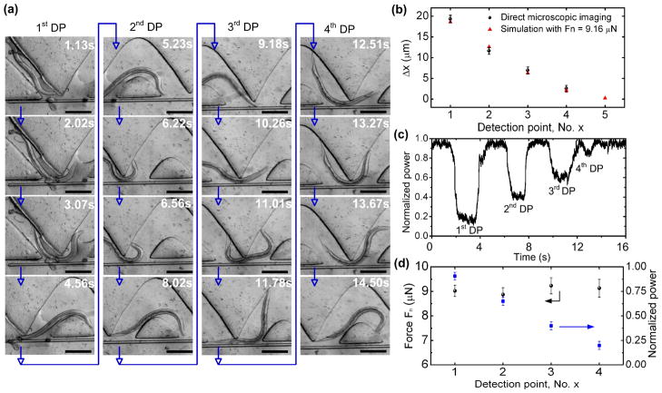 Fig. 6