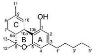 graphic file with name oncotarget-05-5852-i007.jpg