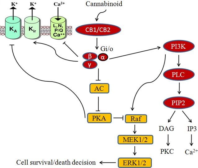 Fig.2