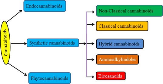 Fig.1