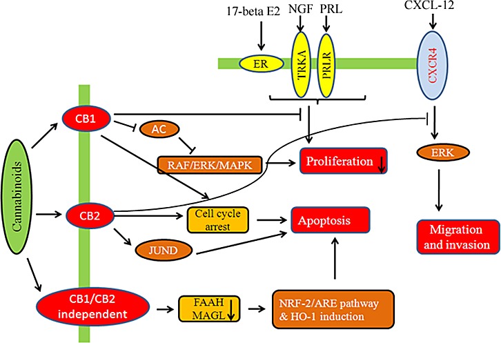 Fig.3