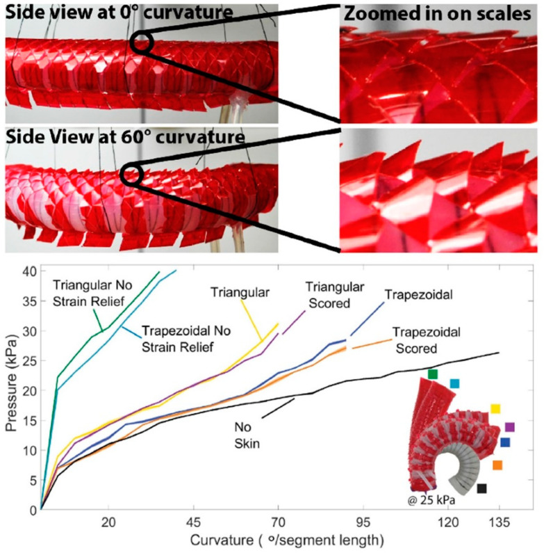 Figure 20