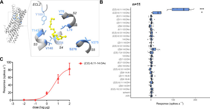 
Figure 1.
Multiple amino acid changes are responsible for the shift of tuning breadth of a moth ancestral pheromone receptor
