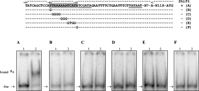 FIG. 6.