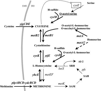 FIG. 7.