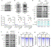 Extended Data Fig. 7 |