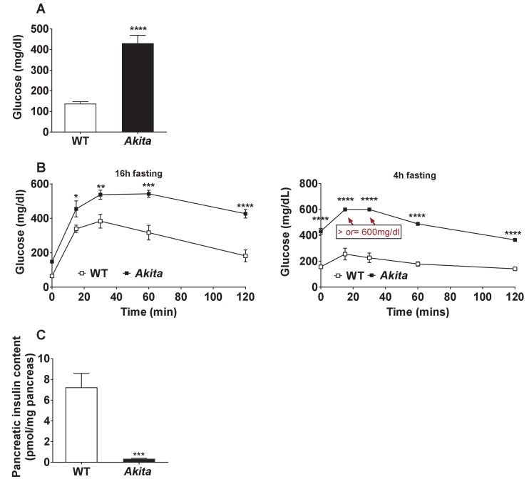 Figure 1—figure supplement 1.