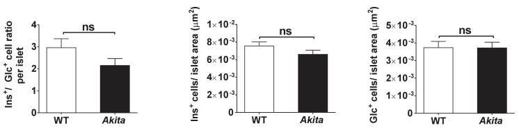 Figure 5—figure supplement 1.