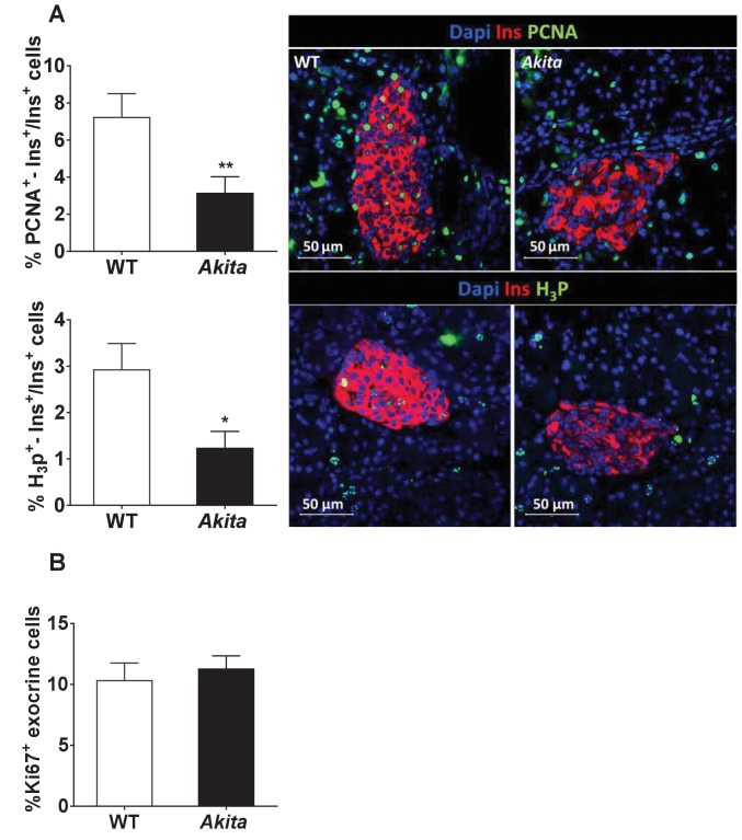 Figure 4—figure supplement 1.