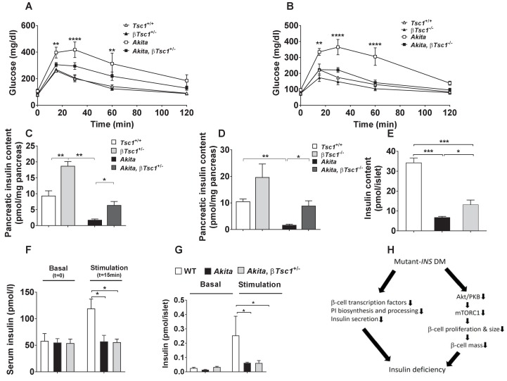 Figure 10.