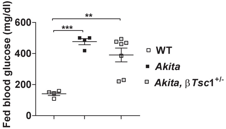 Figure 10—figure supplement 2.