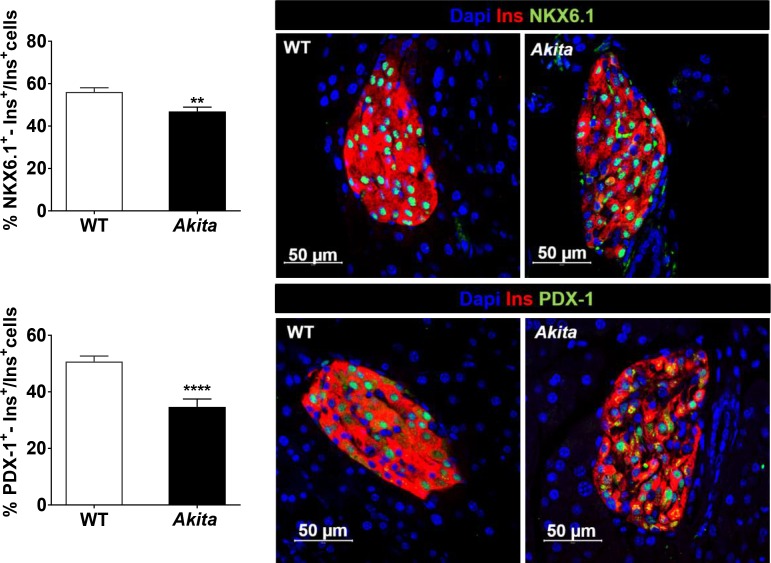 Figure 1—figure supplement 2.