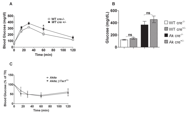 Figure 9—figure supplement 1.