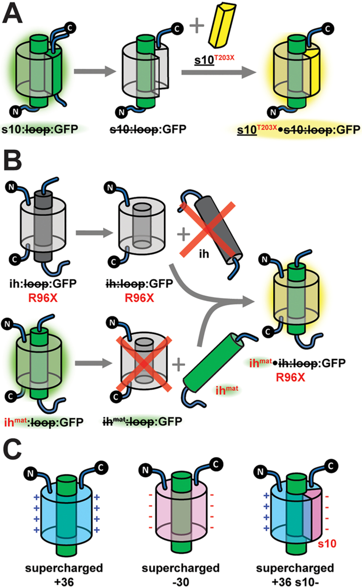 Figure 3.