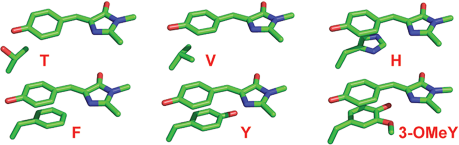 Figure 2.