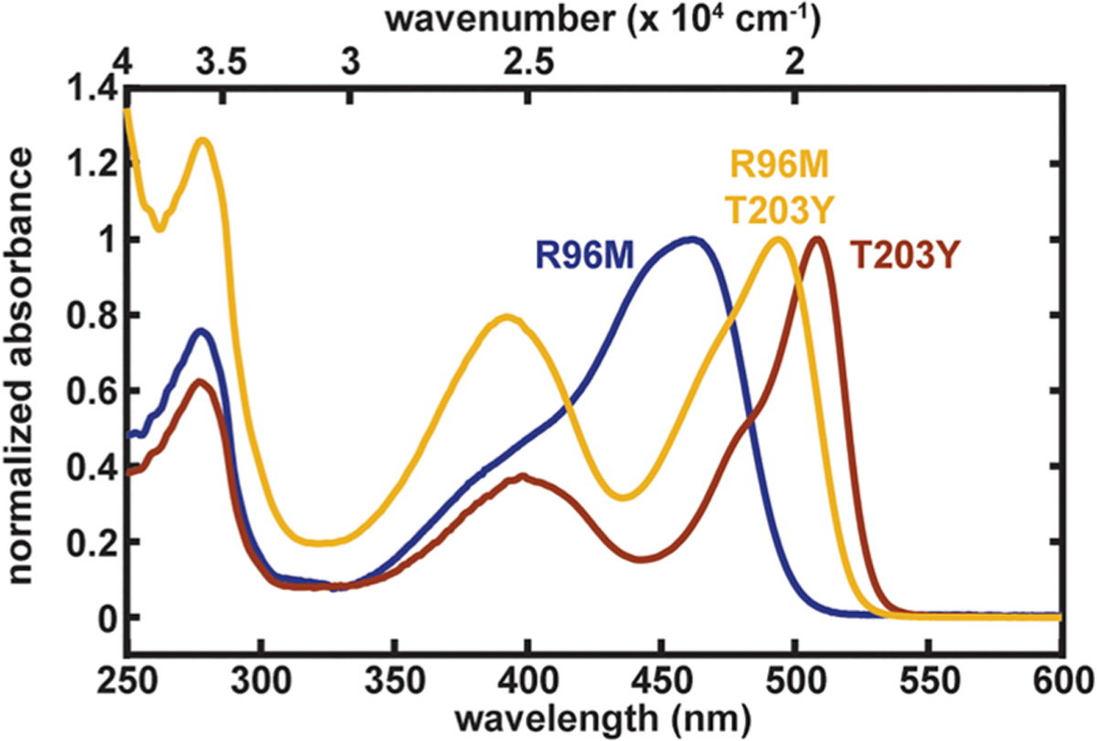 Figure 11.