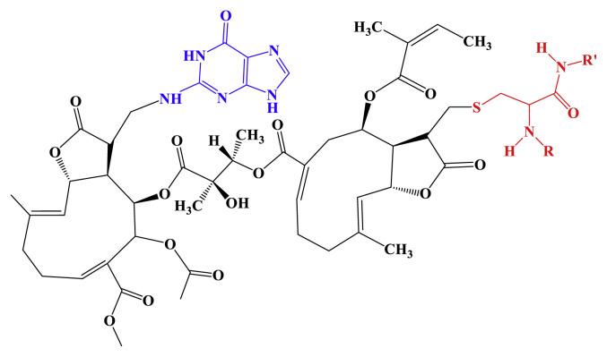 Figure 8