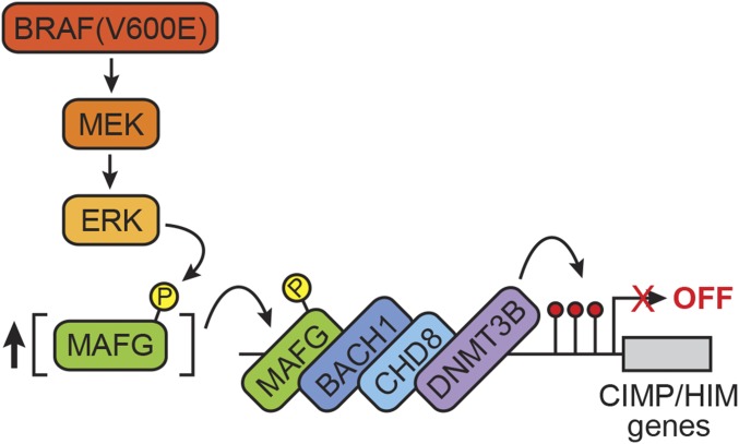 Fig. 6.