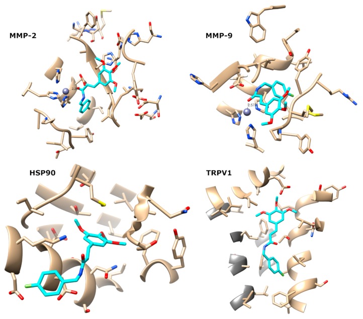 Figure 13