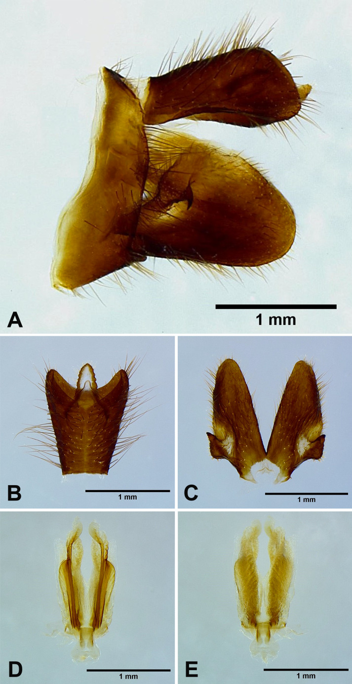 Fig. 8.