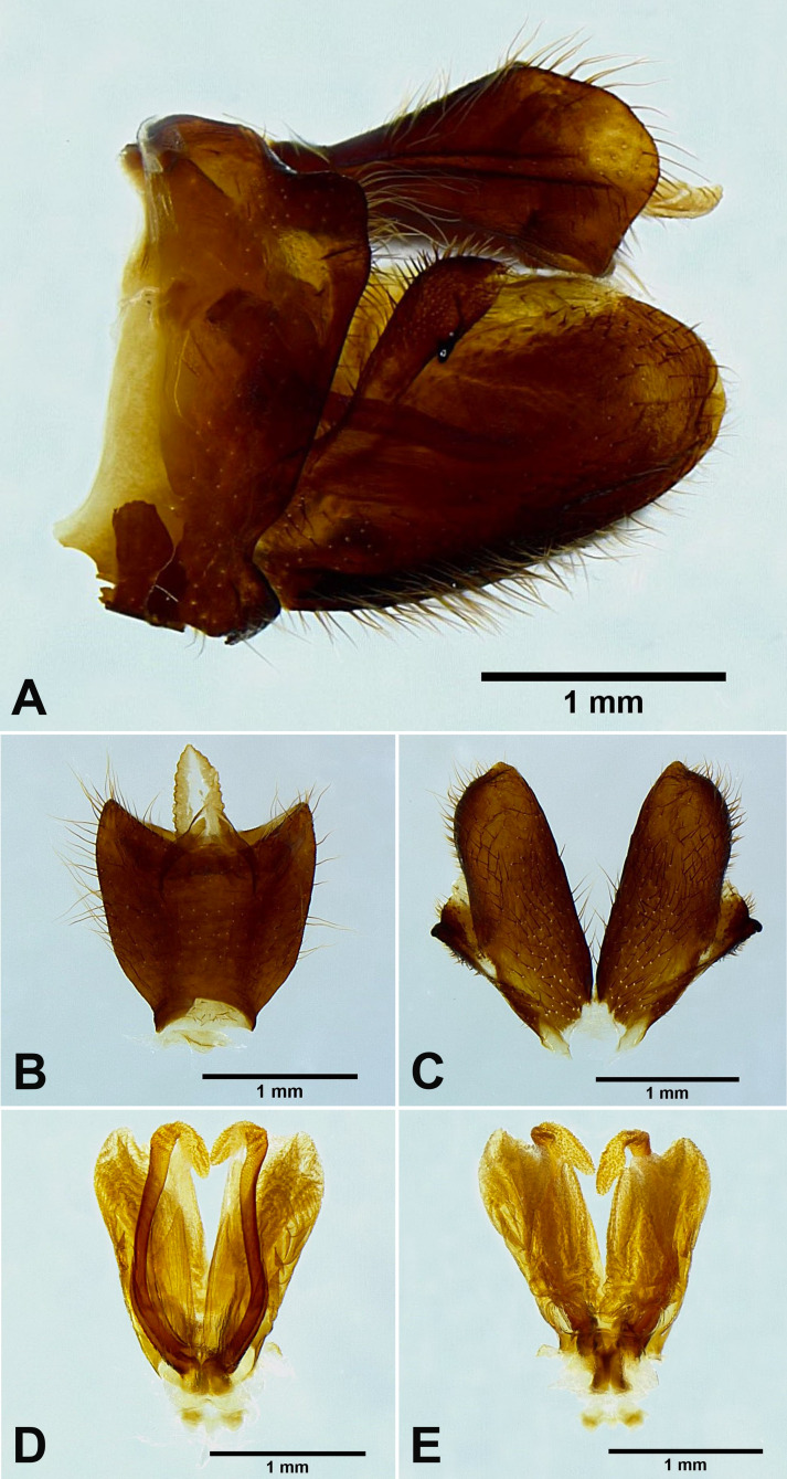 Fig. 10.