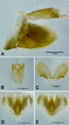 Fig. 15.