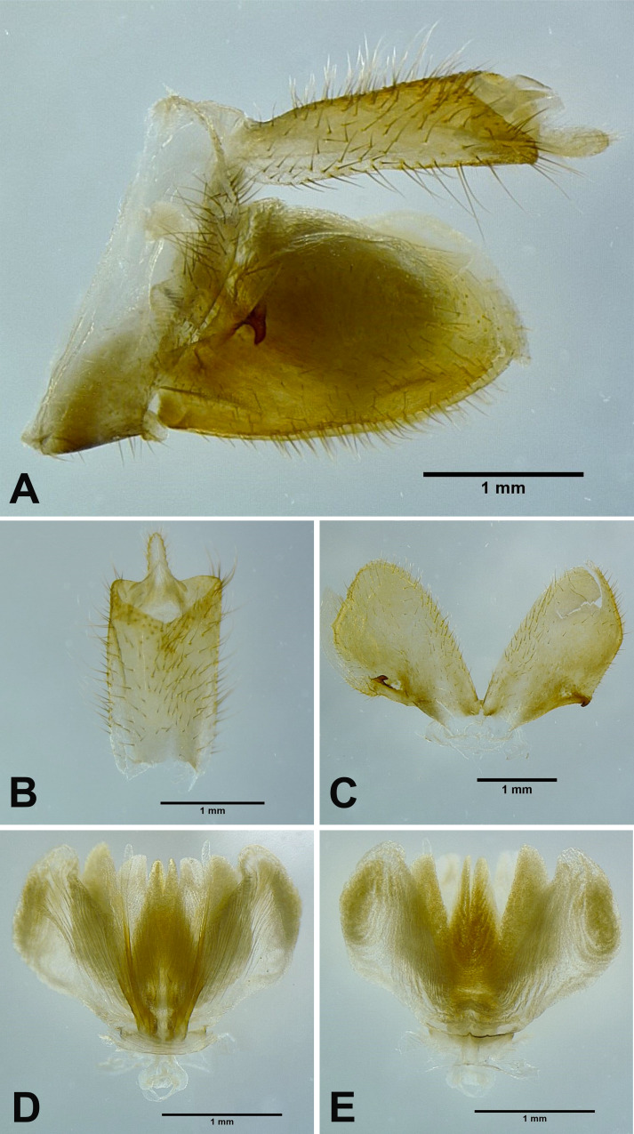 Fig. 15.