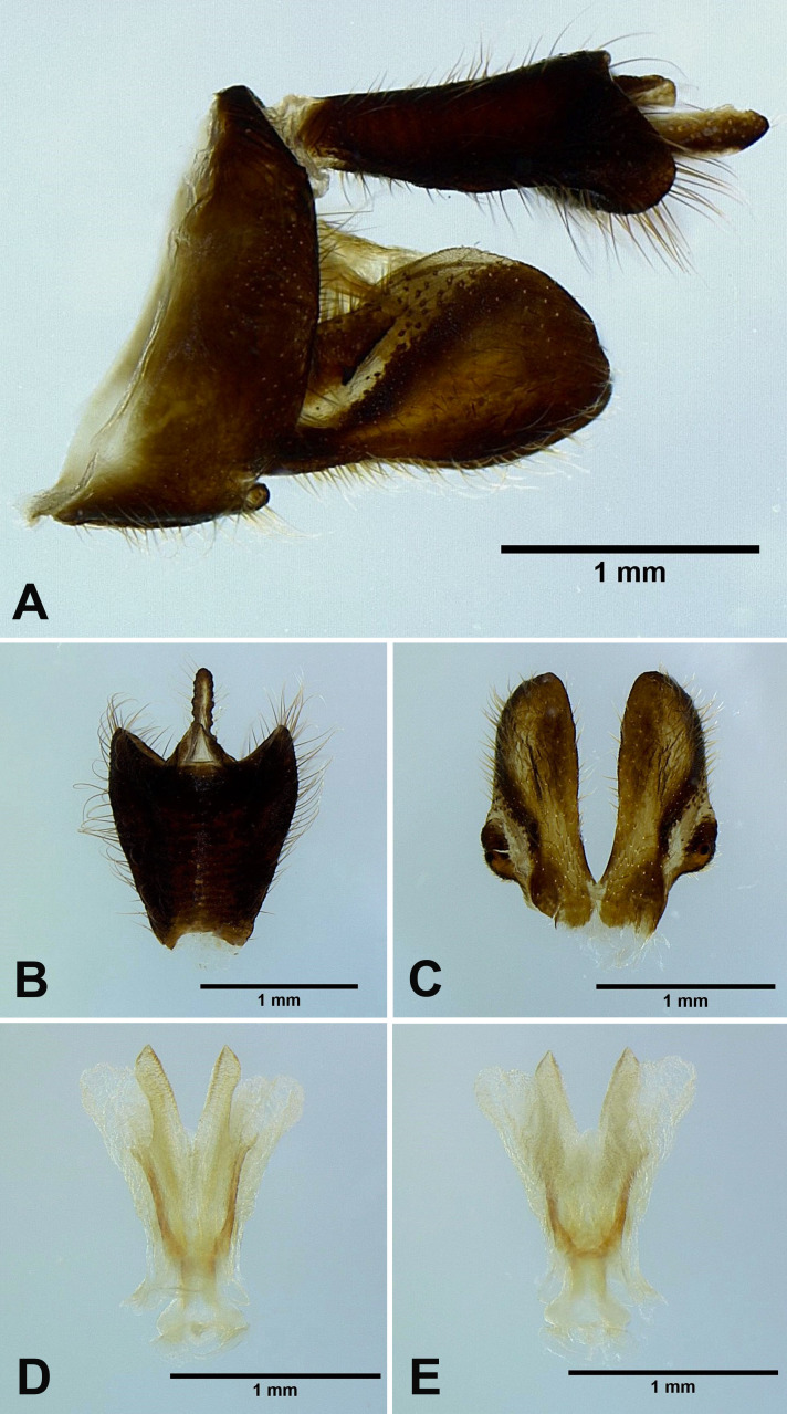 Fig. 23.