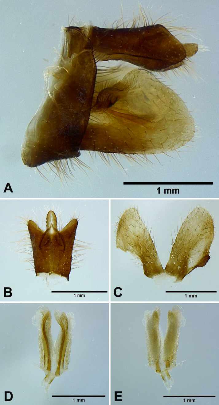 Fig. 5.