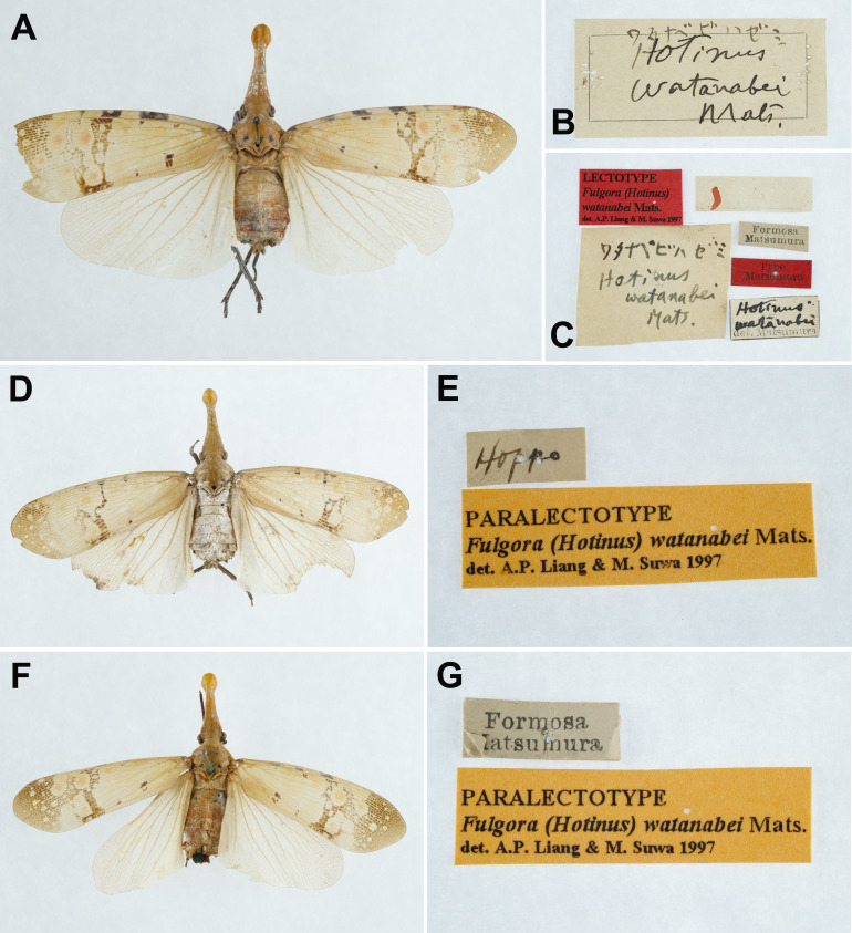 Fig. 21.