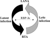 FIG. 10.