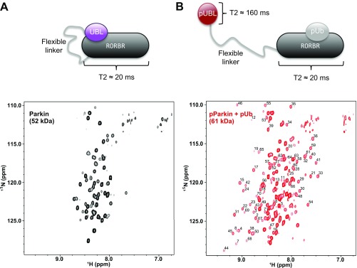 Fig. S9.