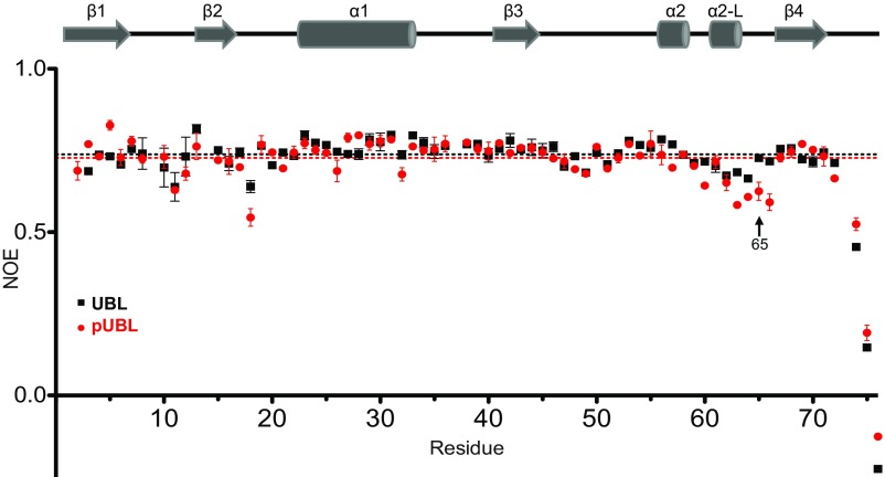 Fig. S5.