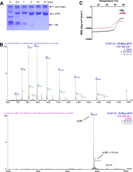 Fig. S1.