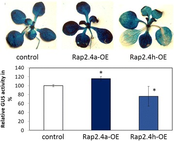 Fig. 11