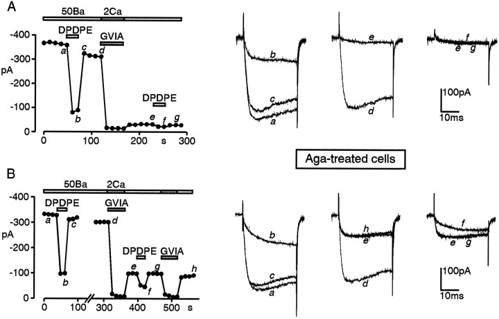 Fig. 8.