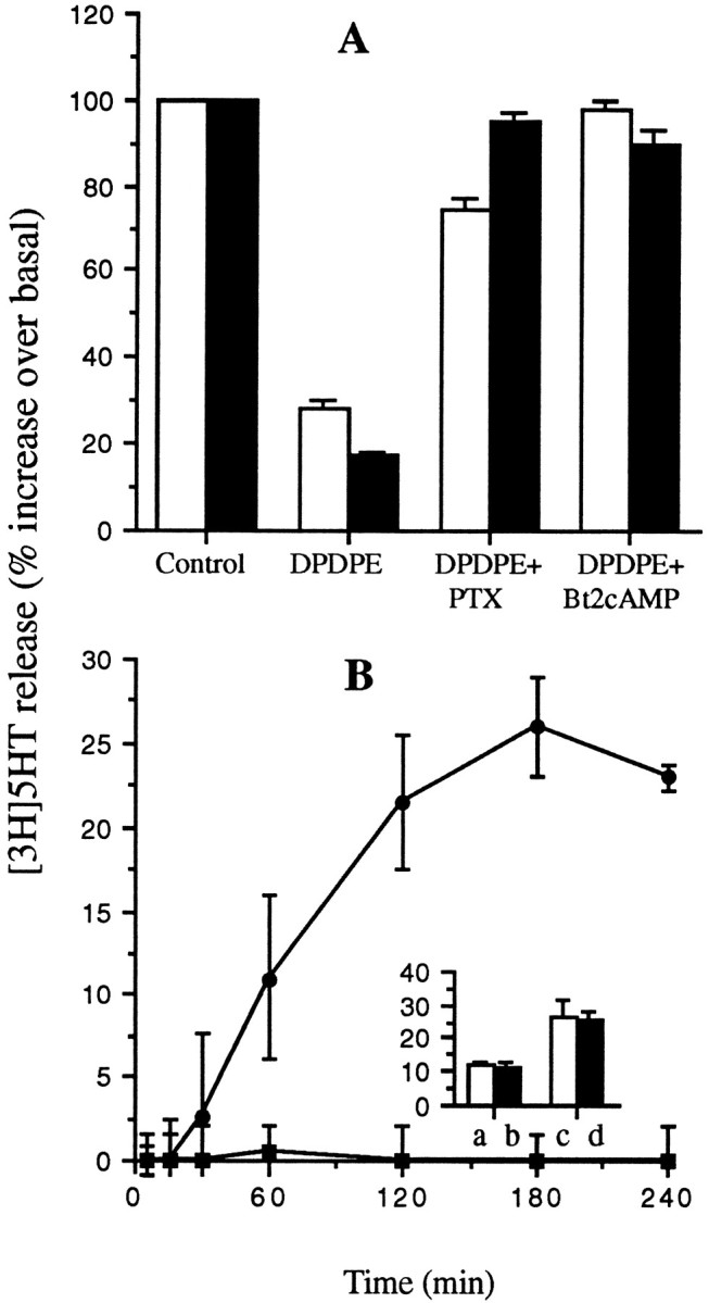 Fig. 12.