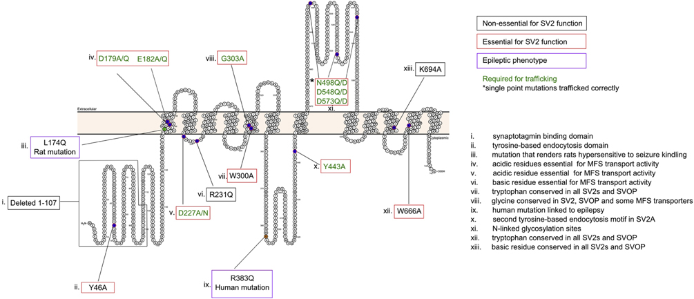 Figure 4: