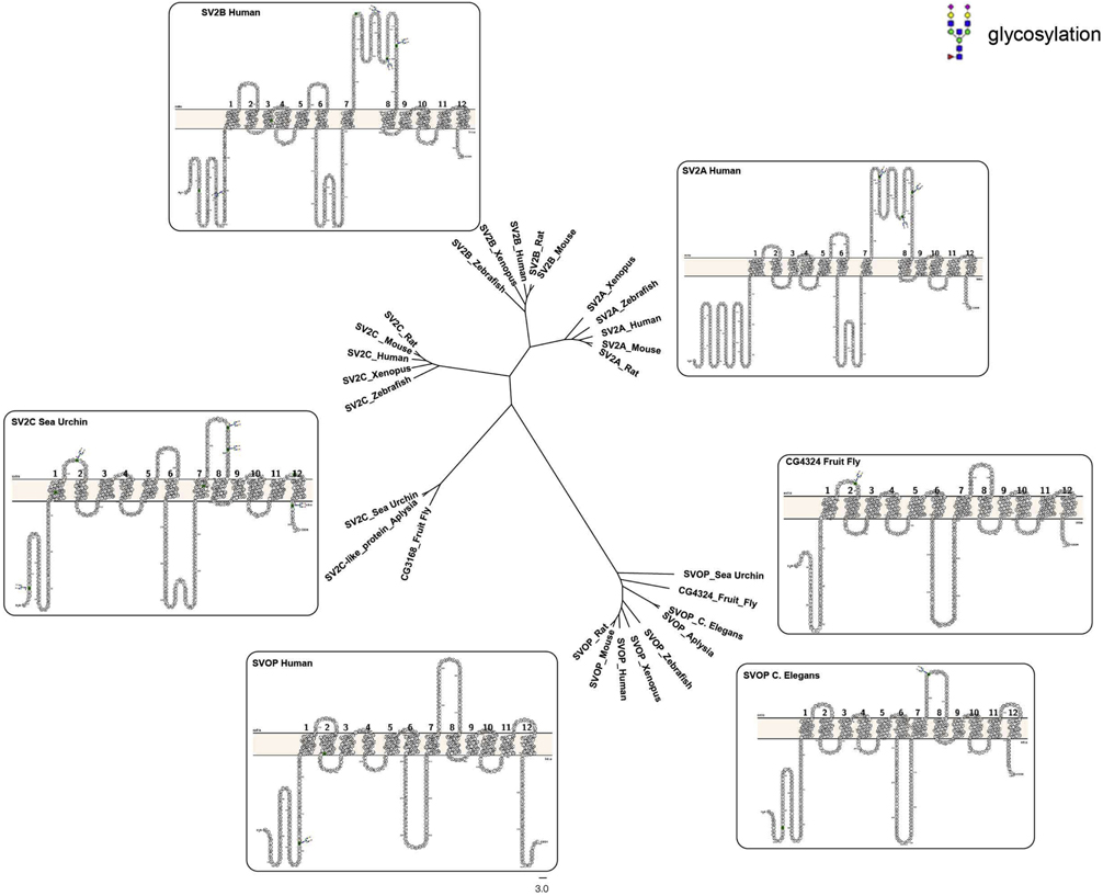 Figure 2: