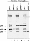 FIG. 7.