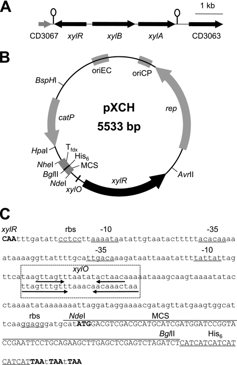 Fig. 1.