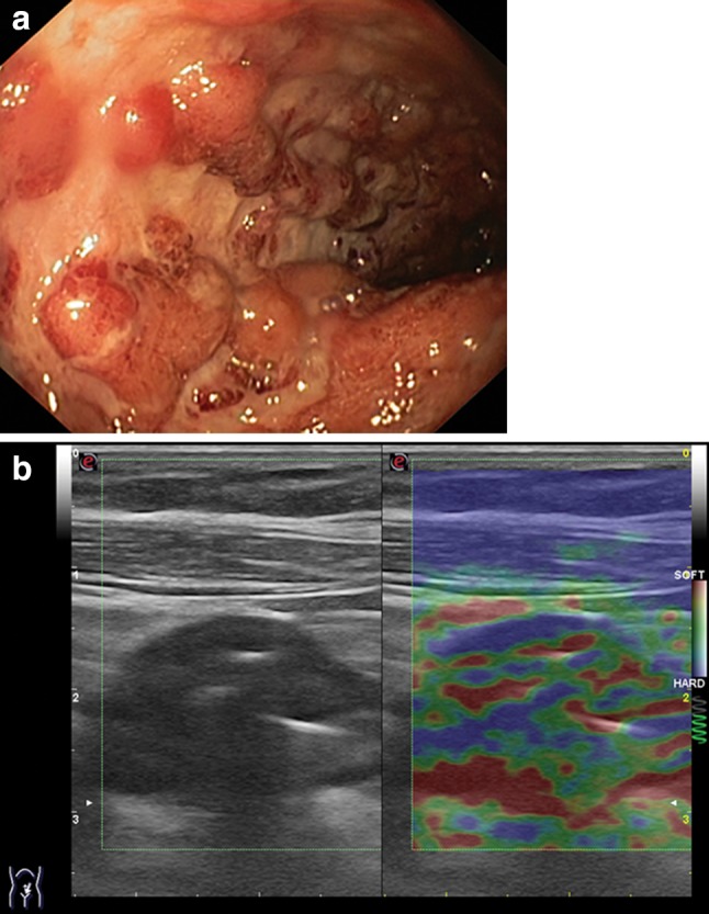 Fig. 8