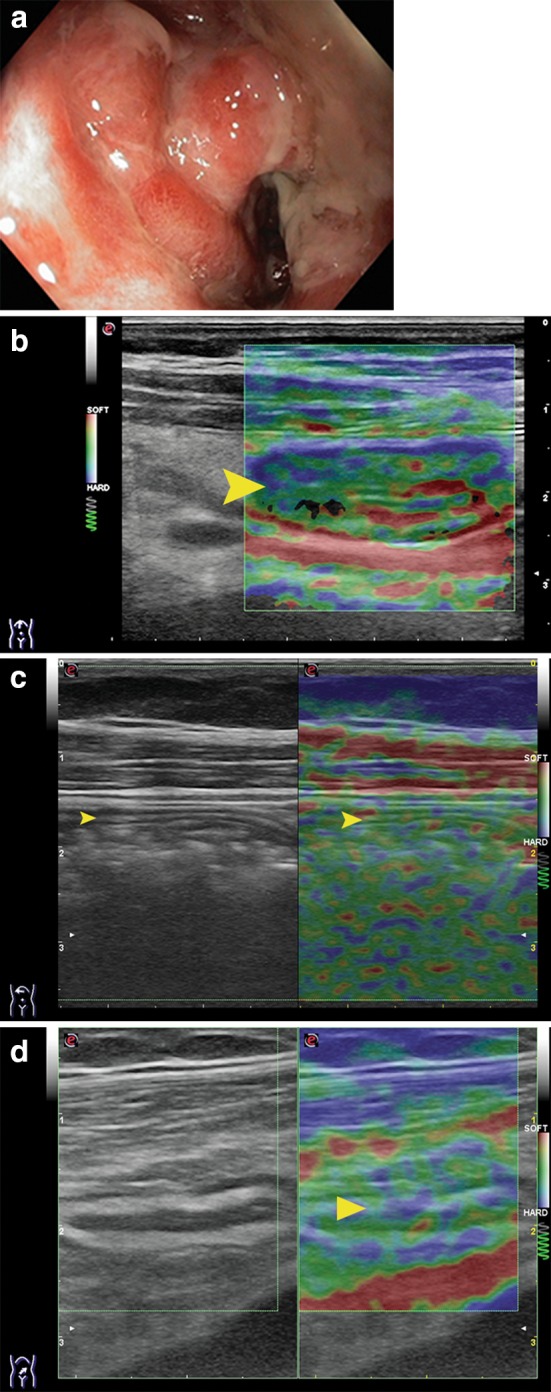 Fig. 7