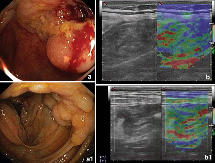 Fig. 4