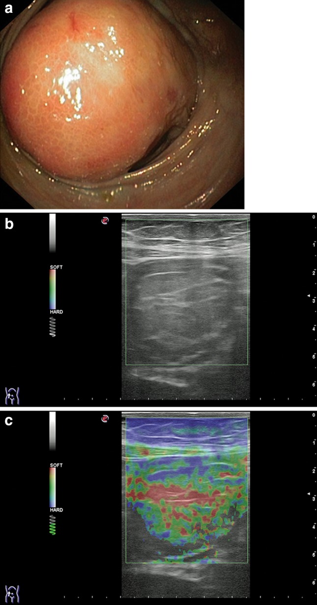 Fig. 5